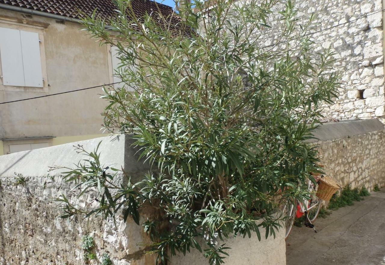 מילנה Apartman M&M מראה חיצוני תמונה